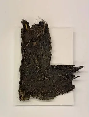 Wandobject van organisch natuurlijk materiaal op wit paneel